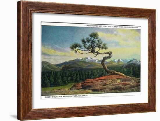 Rocky Mt. Nat'l Park, Colorado - High Drive Lonesome Pine View of Long's Peak-Lantern Press-Framed Art Print