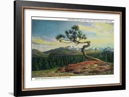 Rocky Mt. Nat'l Park, Colorado - High Drive Lonesome Pine View of Long's Peak-Lantern Press-Framed Art Print