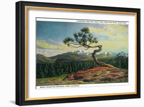 Rocky Mt. Nat'l Park, Colorado - High Drive Lonesome Pine View of Long's Peak-Lantern Press-Framed Art Print