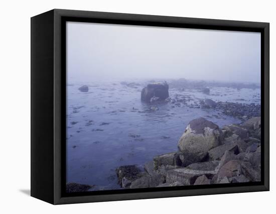 Rocky New England Coast-Carol Highsmith-Framed Stretched Canvas