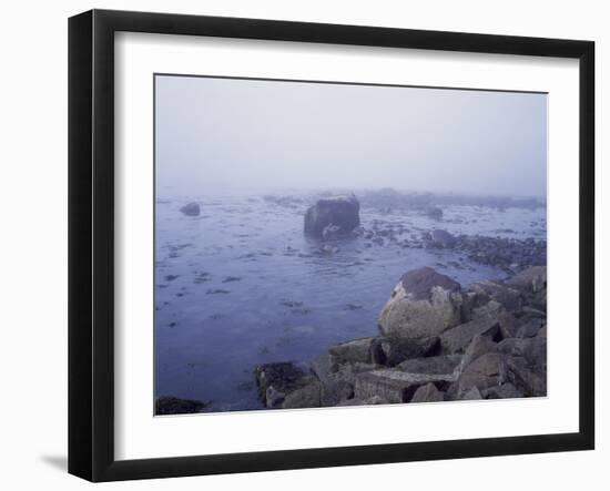 Rocky New England Coast-Carol Highsmith-Framed Photo