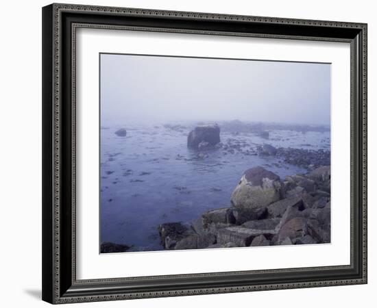 Rocky New England Coast-Carol Highsmith-Framed Photo