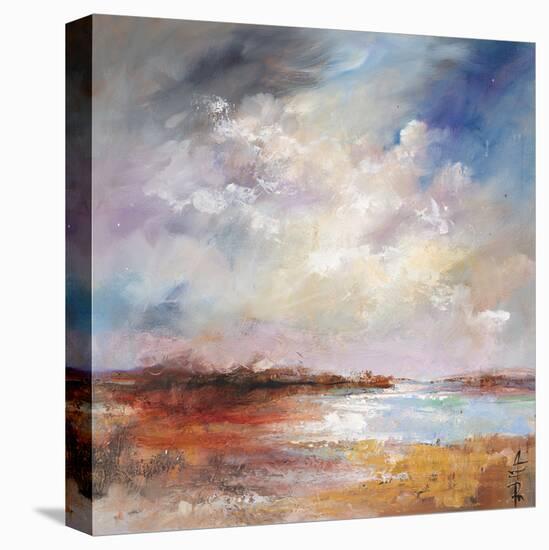 Rocky Outcrop-Anne Farrall Doyle-Framed Stretched Canvas