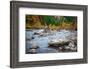 Rocky River-Michael Broom-Framed Photographic Print