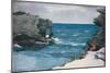 Rocky Shore, 1900-Winslow Homer-Mounted Giclee Print