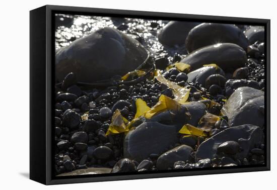 Rocky Shore I-Rita Crane-Framed Premier Image Canvas