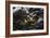 Rocky Shore I-Rita Crane-Framed Photographic Print