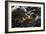 Rocky Shore I-Rita Crane-Framed Photographic Print