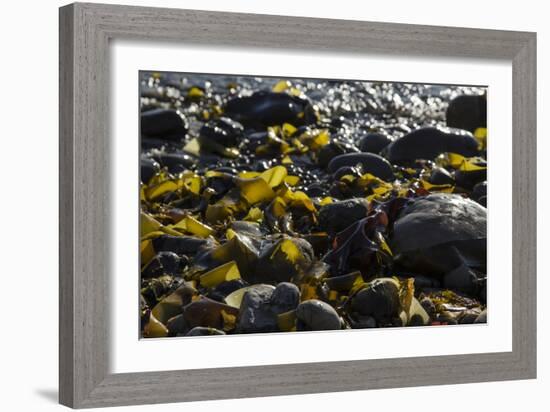 Rocky Shore II-Rita Crane-Framed Photographic Print