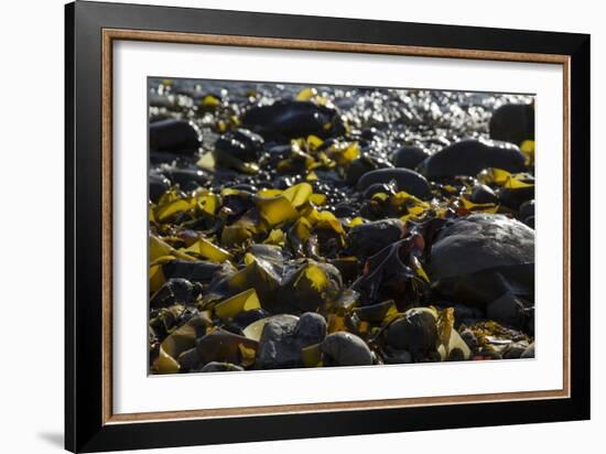 Rocky Shore II-Rita Crane-Framed Photographic Print