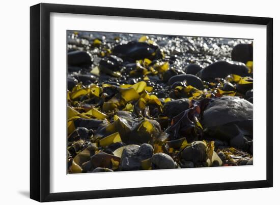 Rocky Shore II-Rita Crane-Framed Photographic Print