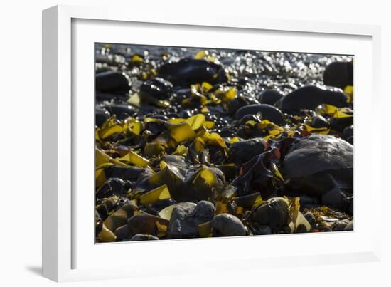 Rocky Shore II-Rita Crane-Framed Photographic Print