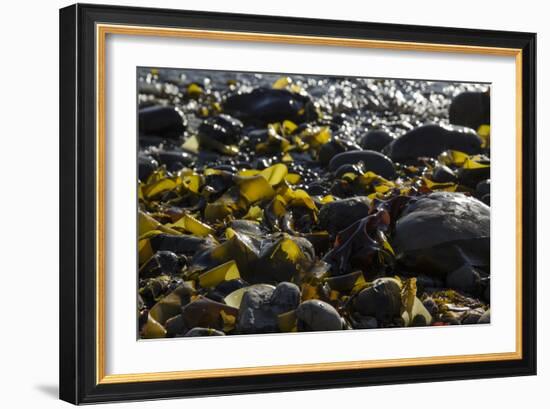 Rocky Shore II-Rita Crane-Framed Photographic Print