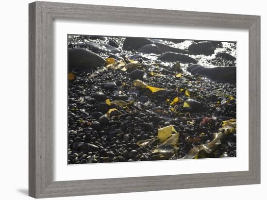 Rocky Shore III-Rita Crane-Framed Photographic Print