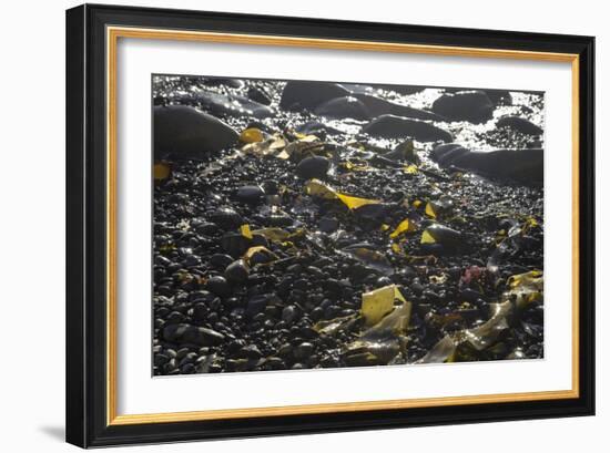 Rocky Shore III-Rita Crane-Framed Photographic Print