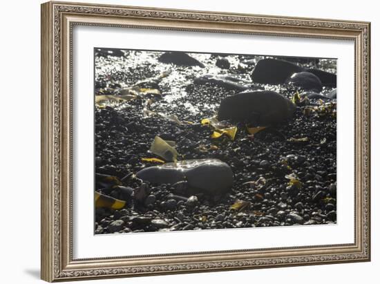 Rocky Shore IV-Rita Crane-Framed Photographic Print