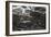 Rocky Shore IV-Rita Crane-Framed Photographic Print