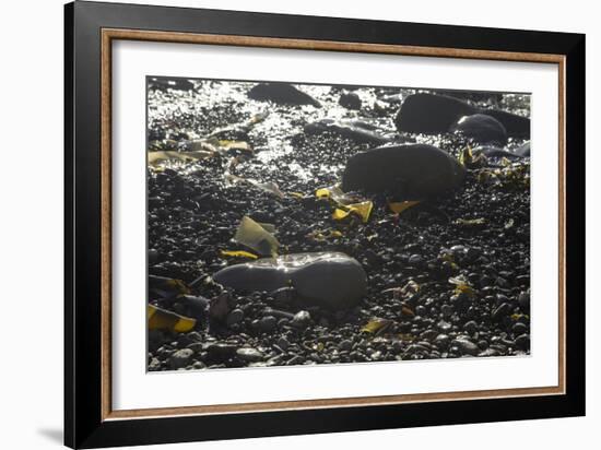 Rocky Shore IV-Rita Crane-Framed Photographic Print