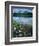 Rocky Shore of Frog Lake, Challis National Forest, Sawtooth National Recreation Area, Idaho, USA-Scott T^ Smith-Framed Photographic Print