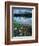 Rocky Shore of Frog Lake, Challis National Forest, Sawtooth National Recreation Area, Idaho, USA-Scott T^ Smith-Framed Photographic Print