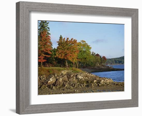 Rocky Shoreline and Trees at the Scenic Harbour, Bar Harbour, Maine, New England, USA-Amanda Hall-Framed Photographic Print