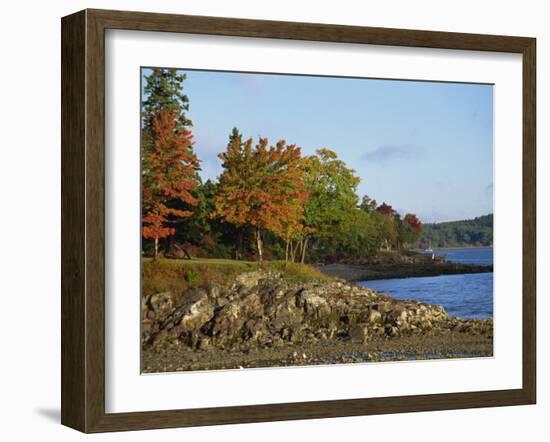 Rocky Shoreline and Trees at the Scenic Harbour, Bar Harbour, Maine, New England, USA-Amanda Hall-Framed Photographic Print