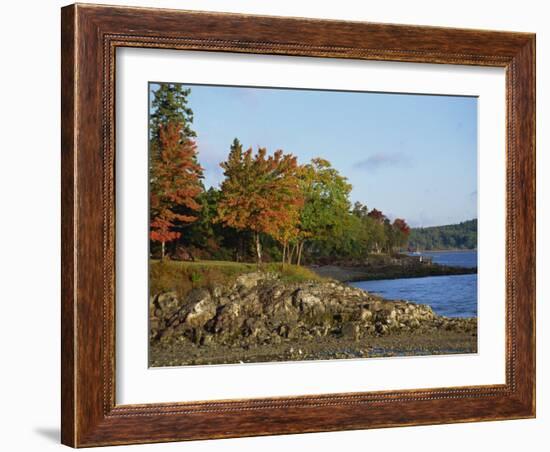 Rocky Shoreline and Trees at the Scenic Harbour, Bar Harbour, Maine, New England, USA-Amanda Hall-Framed Photographic Print