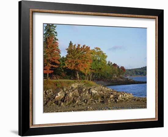 Rocky Shoreline and Trees at the Scenic Harbour, Bar Harbour, Maine, New England, USA-Amanda Hall-Framed Photographic Print