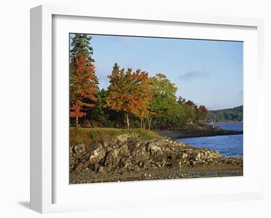 Rocky Shoreline and Trees at the Scenic Harbour, Bar Harbour, Maine, New England, USA-Amanda Hall-Framed Photographic Print