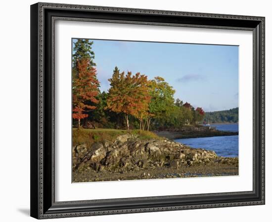 Rocky Shoreline and Trees at the Scenic Harbour, Bar Harbour, Maine, New England, USA-Amanda Hall-Framed Photographic Print