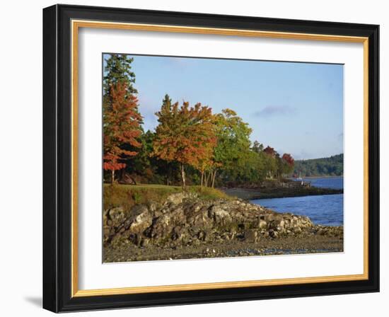 Rocky Shoreline and Trees at the Scenic Harbour, Bar Harbour, Maine, New England, USA-Amanda Hall-Framed Photographic Print