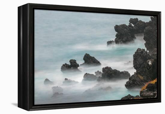 Rocky shoreline of South Plaza Island, Galapagos Islands, Ecuador.-Adam Jones-Framed Premier Image Canvas