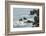 Rocky shoreline of South Plaza Island, Galapagos Islands, Ecuador.-Adam Jones-Framed Photographic Print