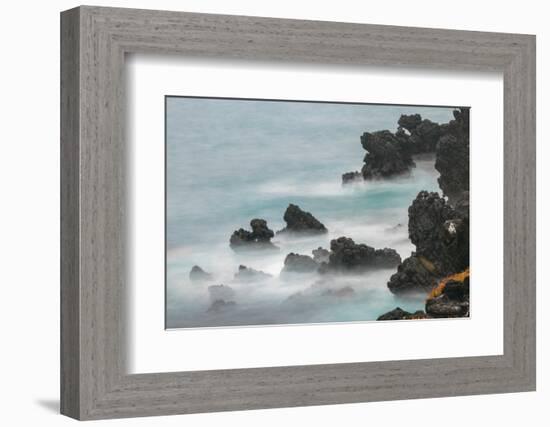 Rocky shoreline of South Plaza Island, Galapagos Islands, Ecuador.-Adam Jones-Framed Photographic Print