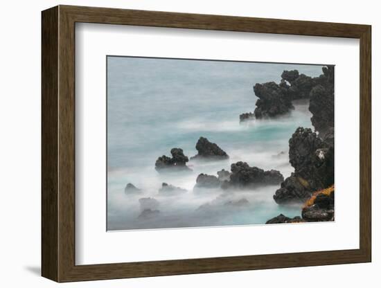 Rocky shoreline of South Plaza Island, Galapagos Islands, Ecuador.-Adam Jones-Framed Photographic Print