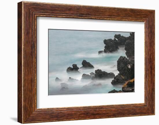 Rocky shoreline of South Plaza Island, Galapagos Islands, Ecuador.-Adam Jones-Framed Photographic Print