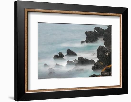 Rocky shoreline of South Plaza Island, Galapagos Islands, Ecuador.-Adam Jones-Framed Photographic Print