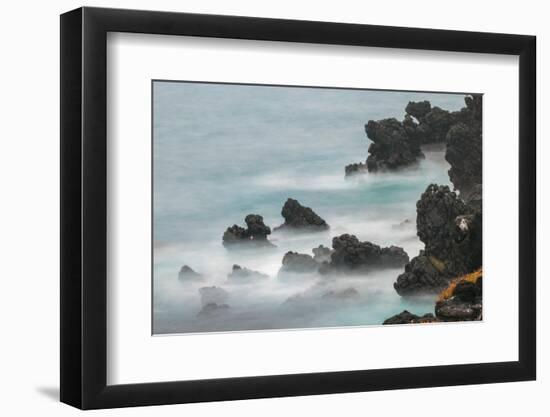 Rocky shoreline of South Plaza Island, Galapagos Islands, Ecuador.-Adam Jones-Framed Photographic Print