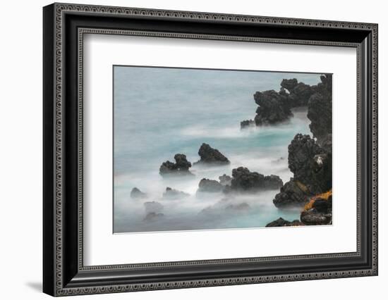 Rocky shoreline of South Plaza Island, Galapagos Islands, Ecuador.-Adam Jones-Framed Photographic Print