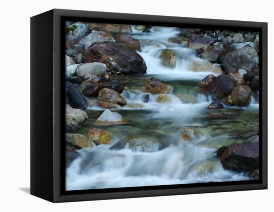 Rocky Stream-Cindy Kassab-Framed Premier Image Canvas