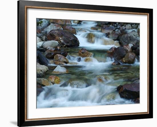 Rocky Stream-Cindy Kassab-Framed Photographic Print