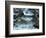 Rocky Stream-Cindy Kassab-Framed Photographic Print