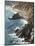 Rocky Stretch of Coastline in Big Sur, California, United States of America, North America-Donald Nausbaum-Mounted Photographic Print