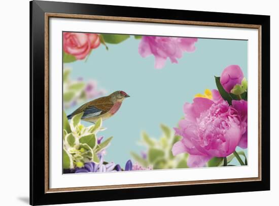 Rococo Birds I-Maria Mendez-Framed Giclee Print