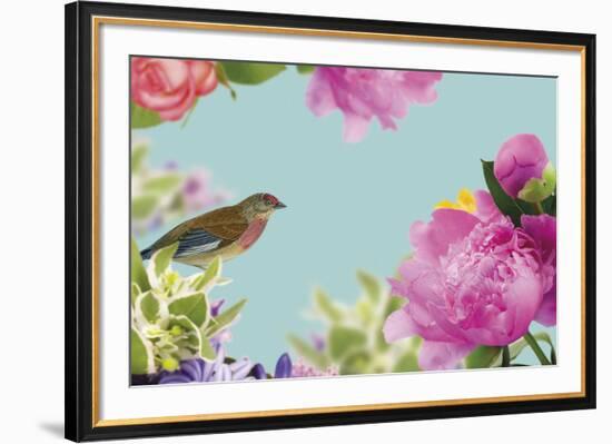 Rococo Birds I-Maria Mendez-Framed Giclee Print