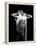 Rod Stewart-null-Framed Premier Image Canvas