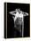Rod Stewart-null-Framed Premier Image Canvas