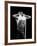 Rod Stewart-null-Framed Premium Photographic Print