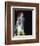 Rod Stewart-null-Framed Photo