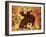 Rodeo 1-Sokol-Hohne-Framed Art Print